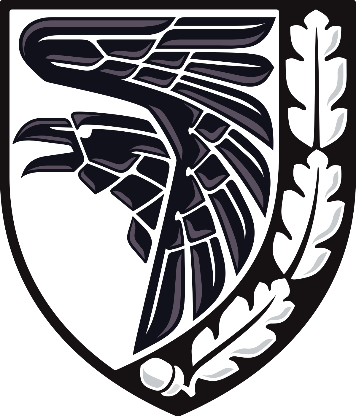 Шеврони ЗСУ. Які приховані символи є на них і що вони означають (відео)